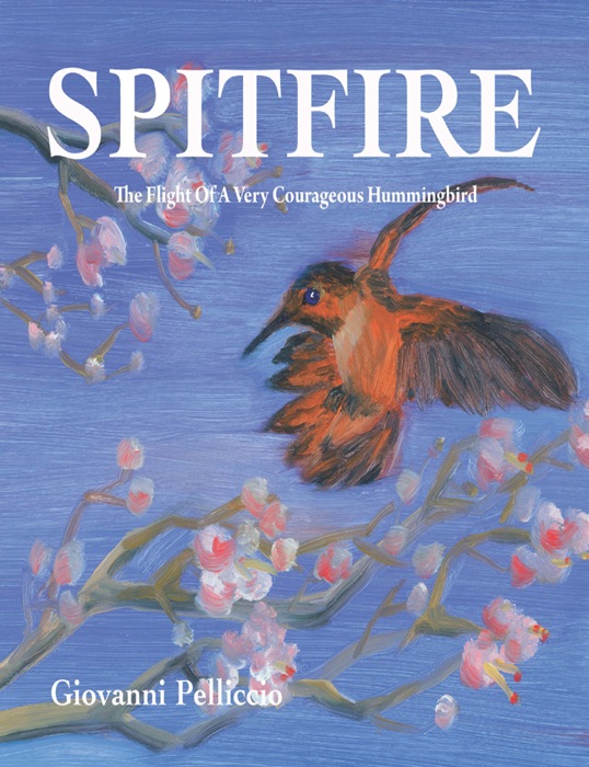 Spitfire: The Remarkable Flight Of A Very Courageous Hummingbird