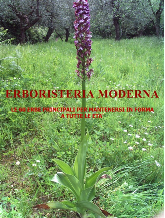 Erboristeria moderna