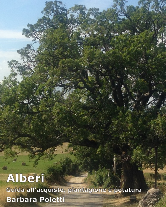 Alberi