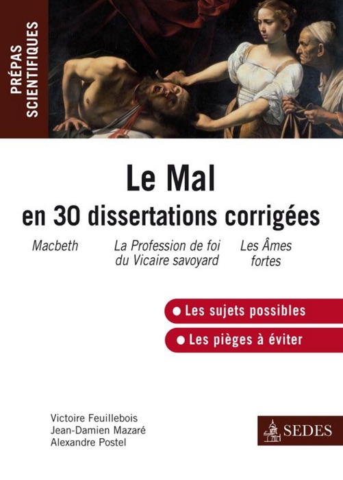 Le Mal en 30 dissertations corrigées