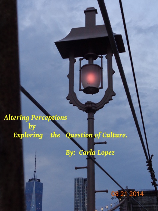 Altering Perceptions By Exploring The Question Of Culture