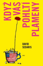 Když vás pohltí plameny - David Sedaris