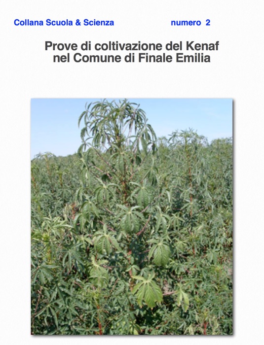 Prove di coltivazione del Kenaf nel Comune di Finale Emilia