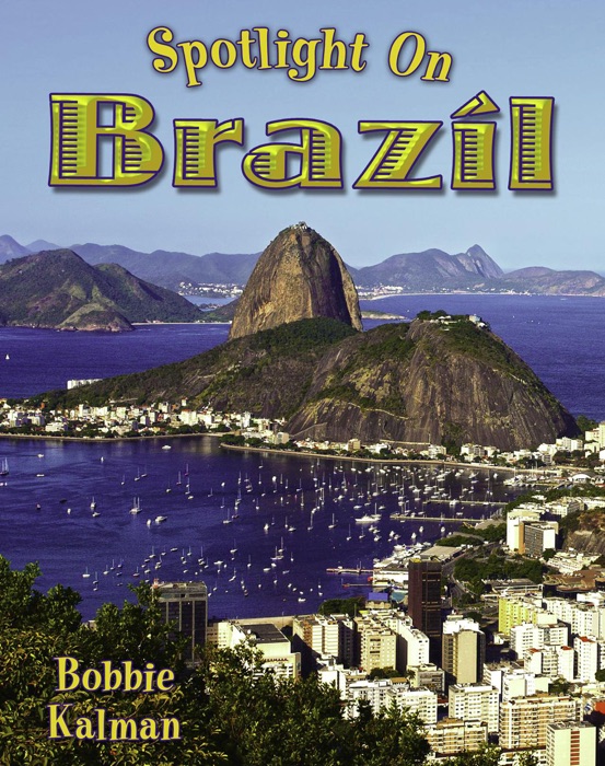 Spotlight on Brazil