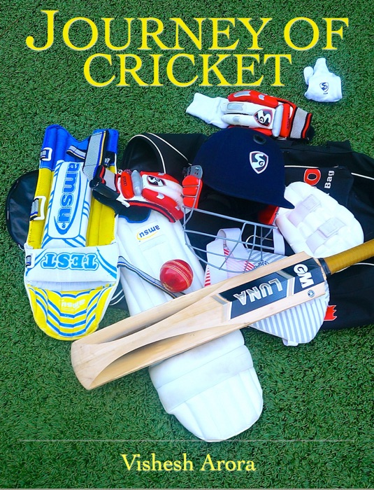 Journey of Cricket