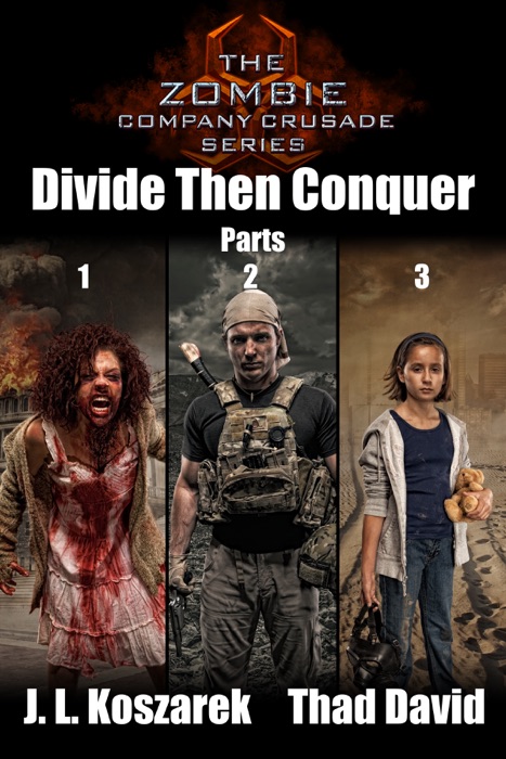 Divide Then Conquer Part 1-3 Box Set