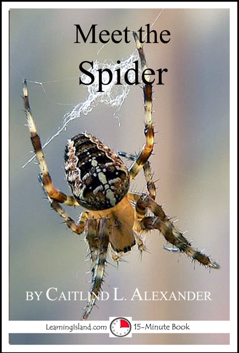 Meet the Spider: A 15-Minute Book for Early Readers