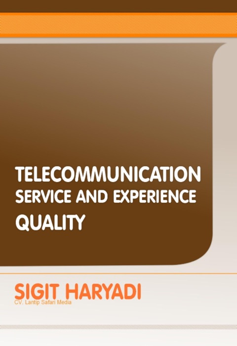 Telecommunication Service and Experience Quality