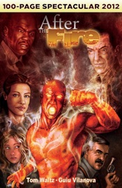 Livres Couvertures de After the Fire: 100-page Spectacular 2012