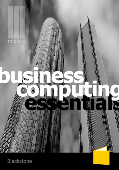 MOOC Business Computing Essentials