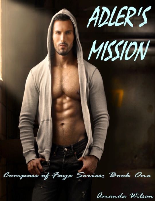 Compass of Faye Series; Book One, Adler's Mission