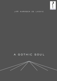 Book's Cover of A Gothic Soul