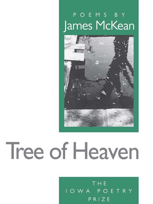 Tree of Heaven