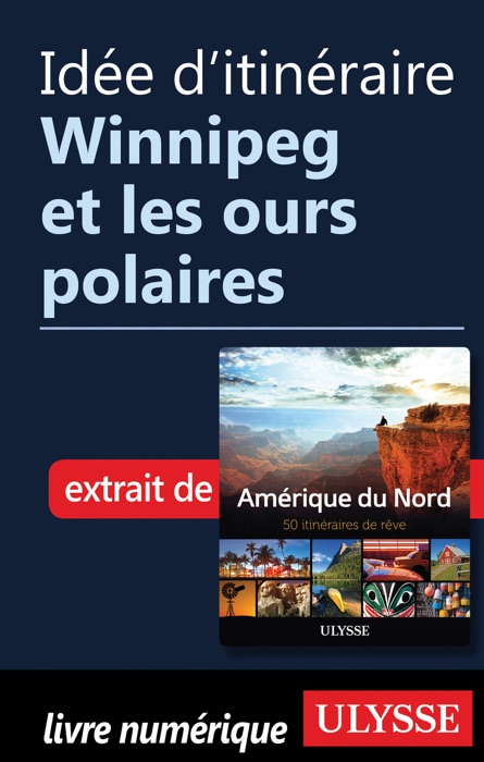 Idée d'itinéraire - Winnipeg et les ours polaires