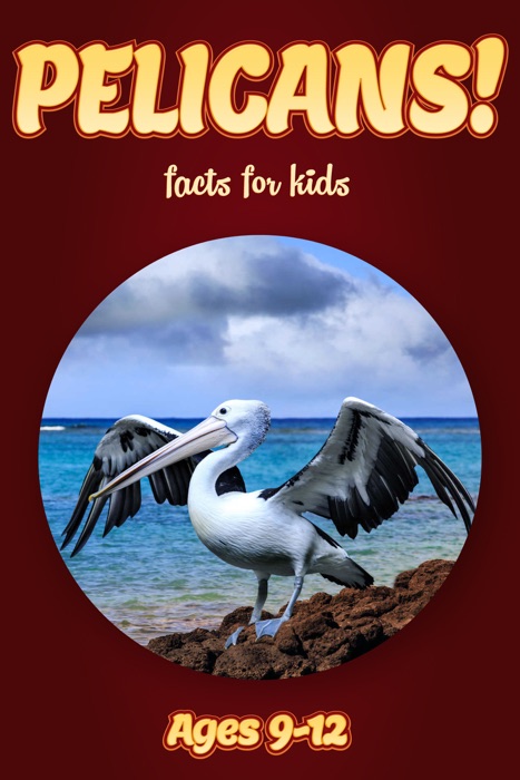 Pelican Facts For Kids 9-12