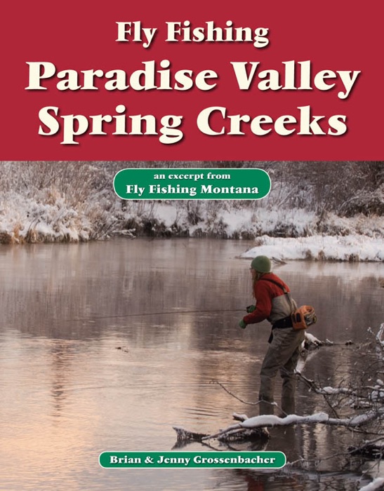 Fly Fishing Paradise Valley Spring Creeks