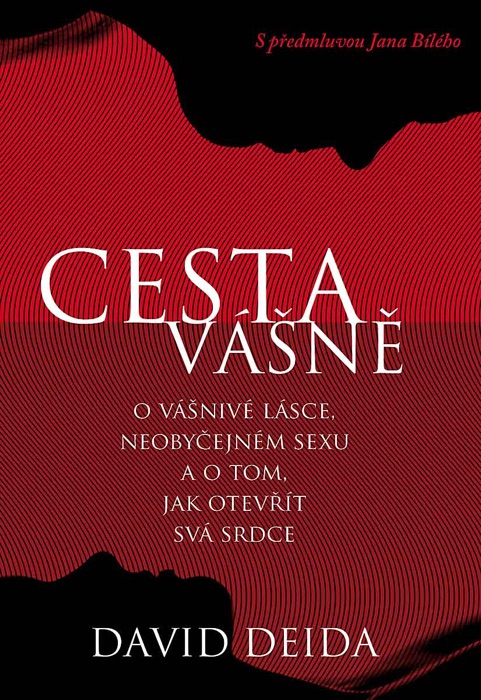 Cesta vášně