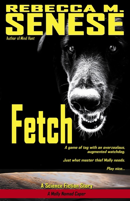 Fetch: A Science Fiction Story