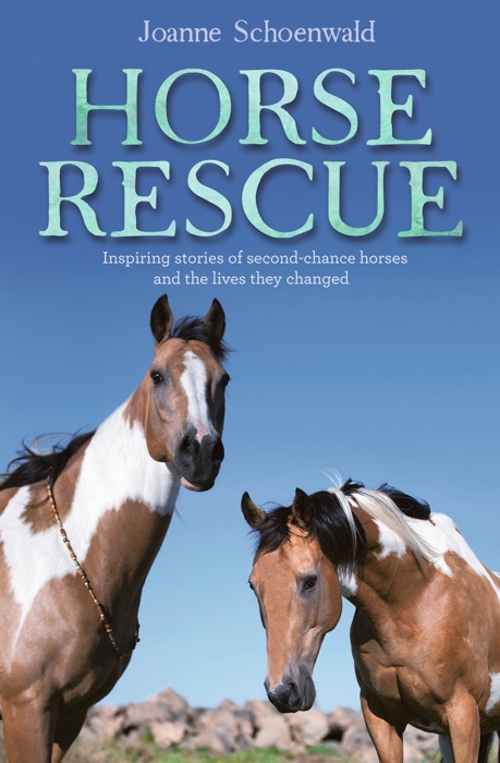 Horse Rescue: Inspiring stories of second-chance horses and the lives they changed