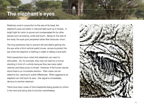 ‎explore African Elephants On Apple Books