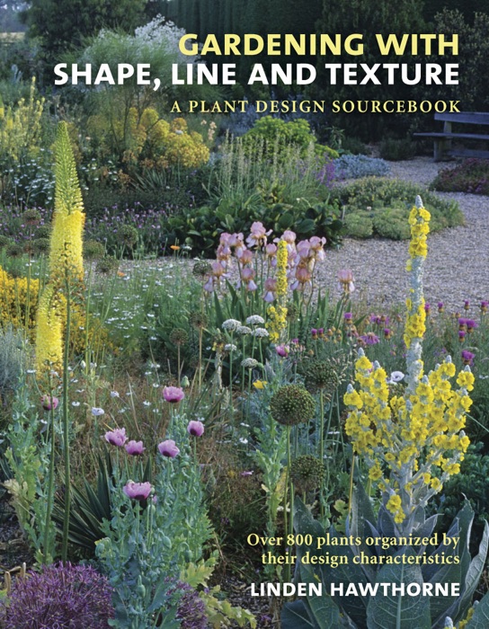 Gardening with Shape, Line and Texture