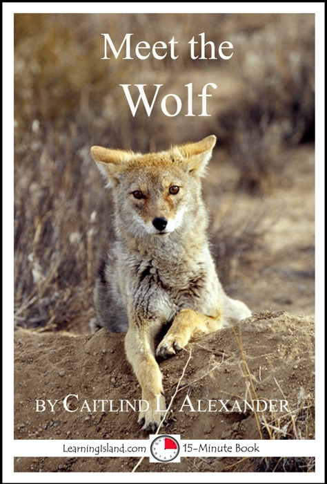 Meet the Wolf: A 15-Minute Book for Early Readers