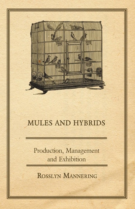 Mules and Hybrids - Production, Management and Exhibition