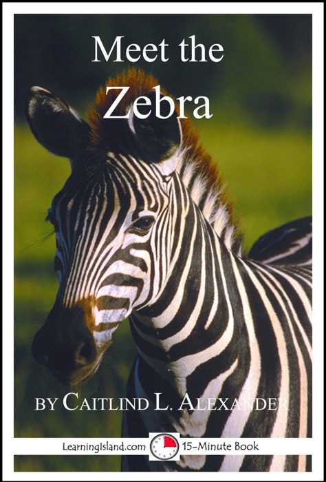 Meet the Zebra: A 15-Minute Book for Early Readers