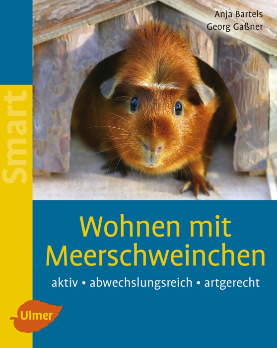 Wohnen mit Meerschweinchen