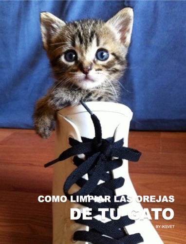 COMO LIMPIAR LAS OREJAS EN UN GATO
