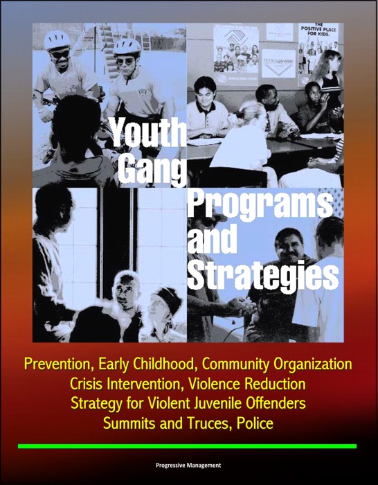 Youth Gang Programs and Strategies