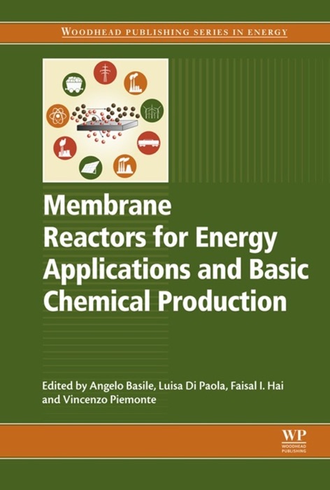 Membrane Reactors for Energy Applications and Basic Chemical Production (Enhanced Edition)