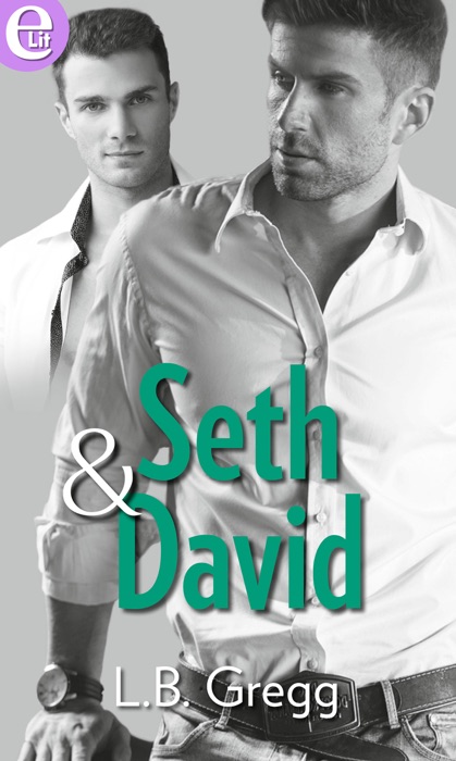 Seth and David (eLit)