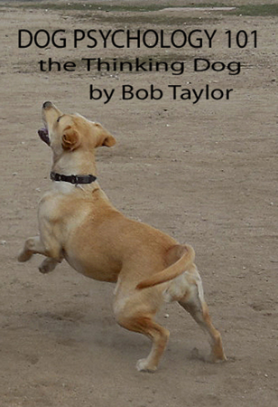 Dog Psychology 101: The Thinking Dog - Bob Taylor