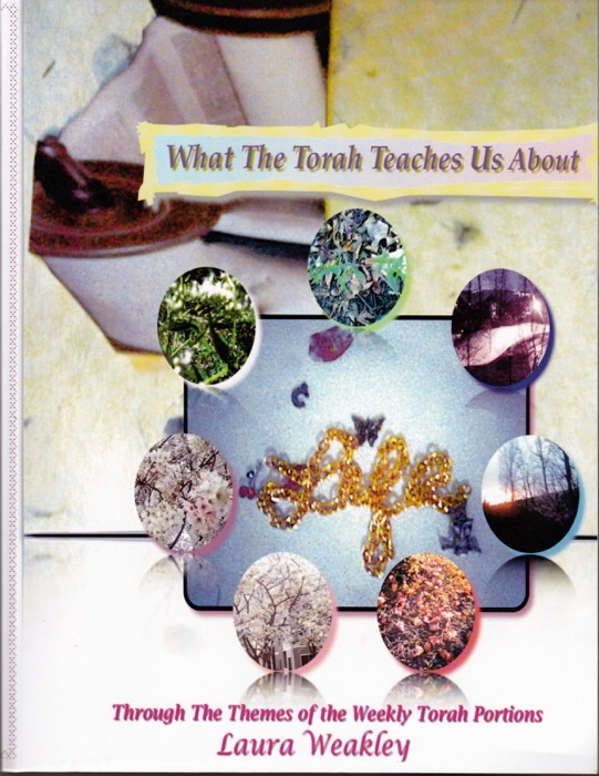 What The Torah Teaches Us About Life /Through The Themes Of The Weekly Torah Portions