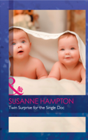 Susanne Hampton - Twin Surprise For The Single Doc artwork