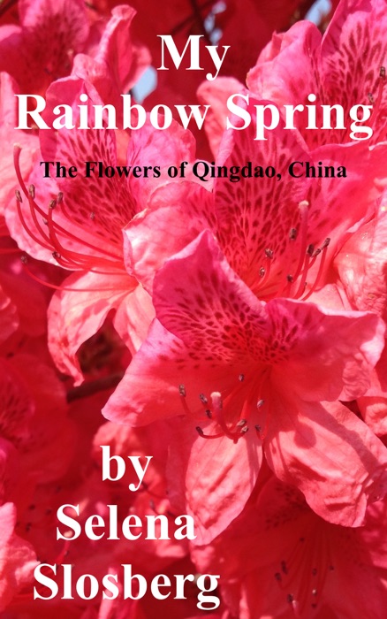 My Rainbow Spring