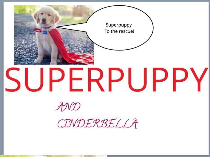 Superpuppy