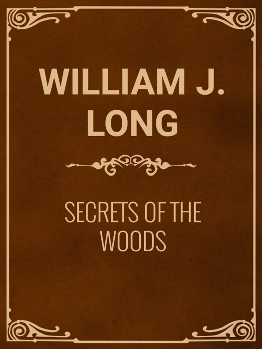 Secrets of the Woods