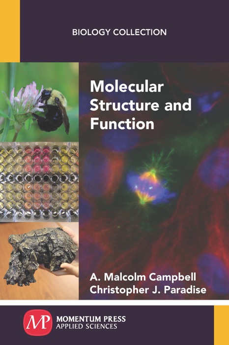 Molecular Structure and Function