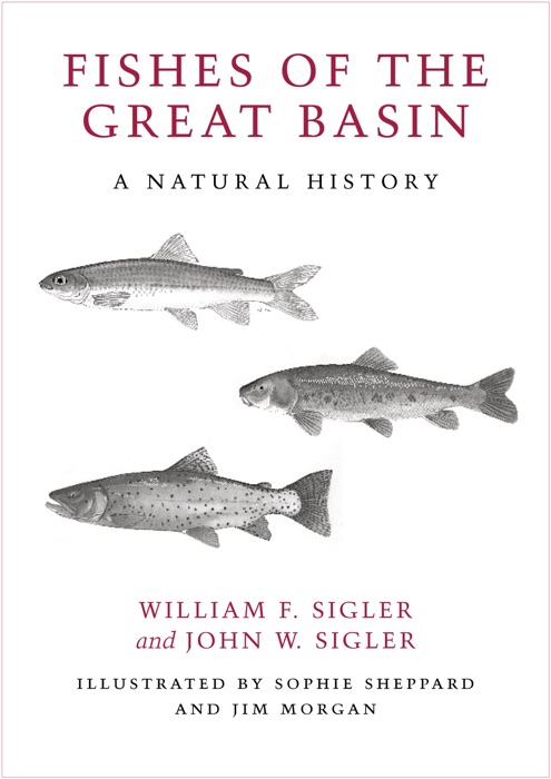 Fishes of the Great Basin