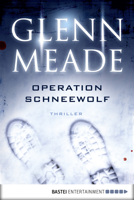 Glenn Meade - Operation Schneewolf artwork