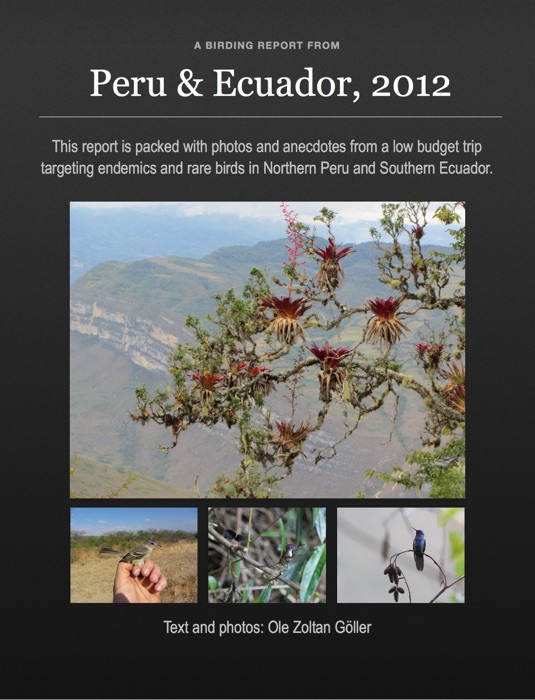 A Birding Report from Peru and Ecuador, 2012
