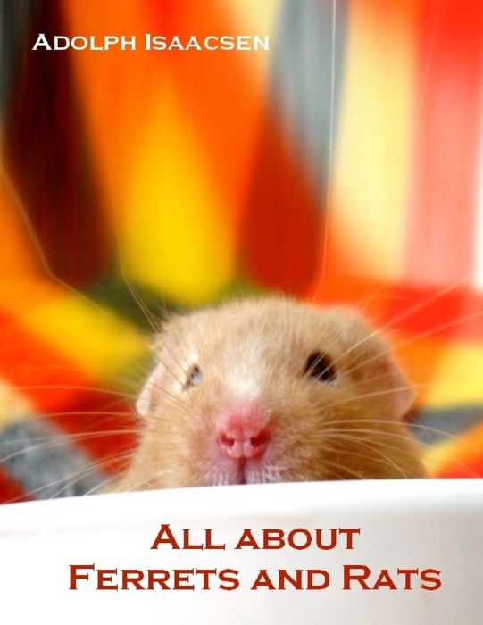 All About Ferrets and Rats (Illustrated)