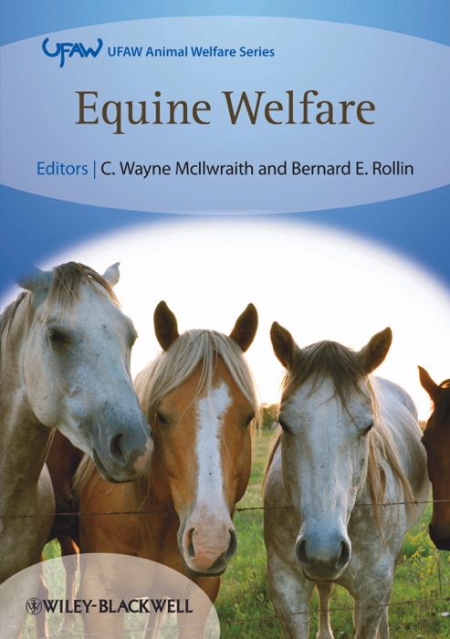 Equine Welfare