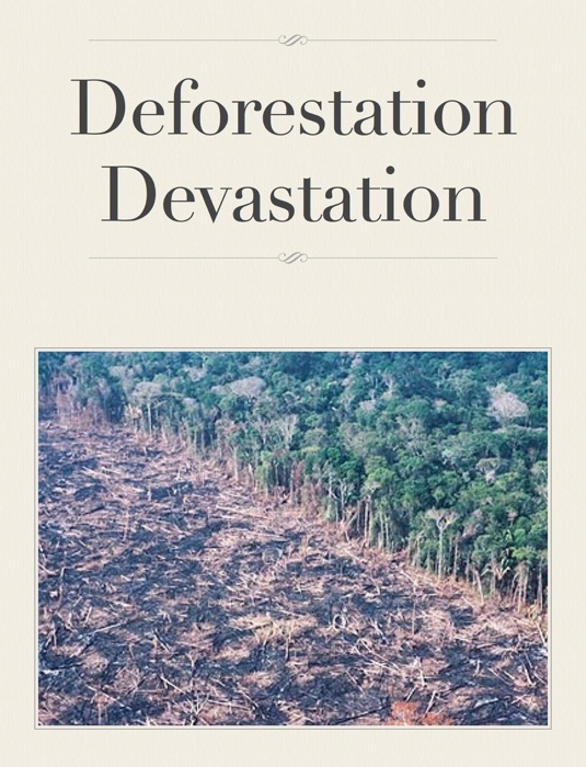 Deforestation Devastation