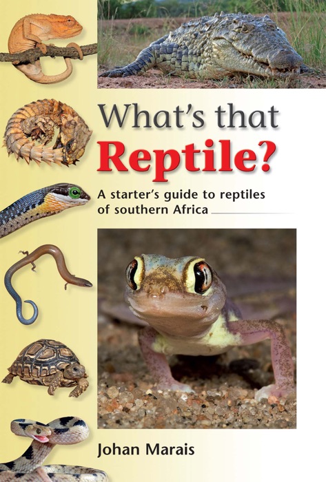 What's that Reptile?