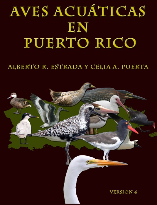 Aves Acuáticas en Puerto Rico