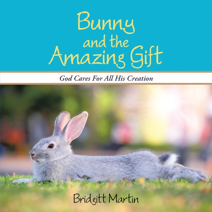 Bunny and the Amazing Gift