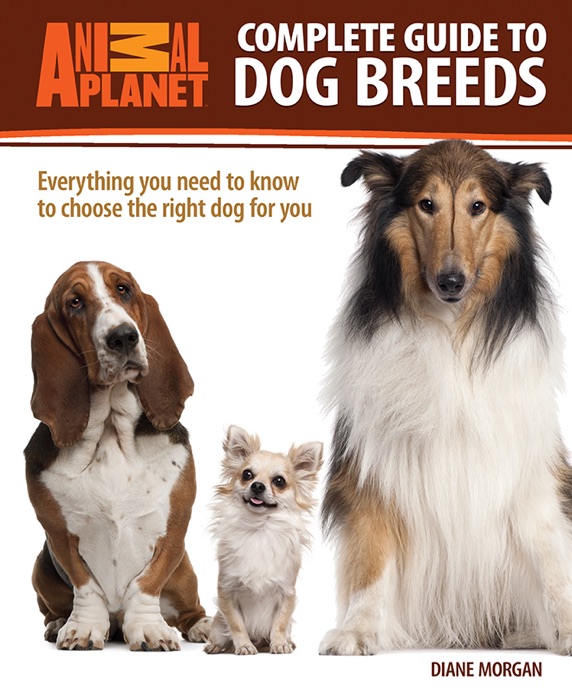 Complete Guide to Dog Breeds